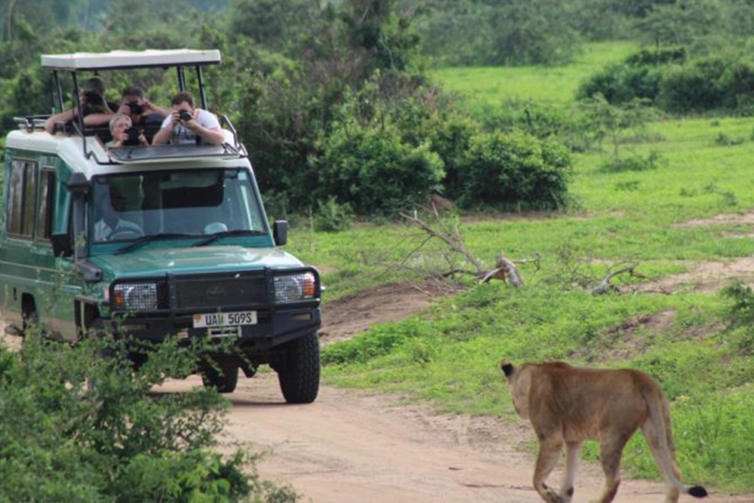 Game Drives in Murchison Falls National Park