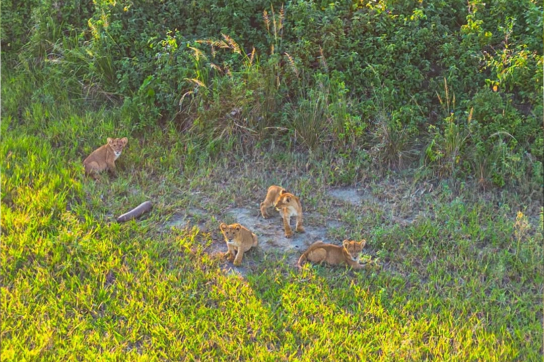 Murchison Falls National Park